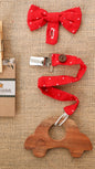 Neem Wooden Teethers (with pacifier clips)